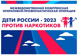 Профилактическая операция "Дети России - 2023".
