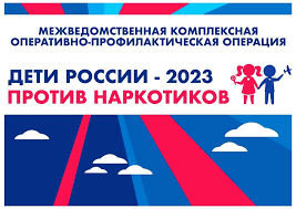 Профилактическая операция &quot;Дети России - 2023&quot;.